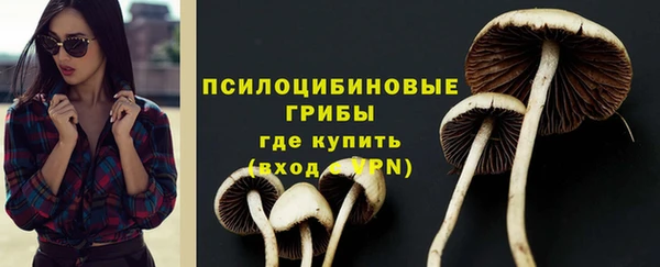 прущие грибы Киренск