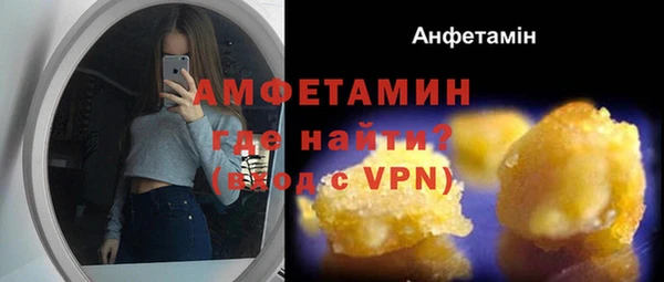 прущие грибы Киренск