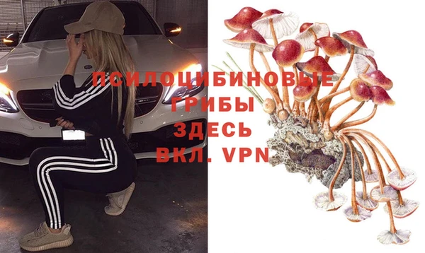 mdma Козельск
