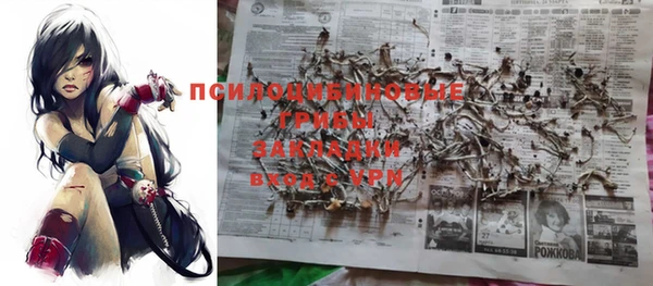 МДМА Козловка