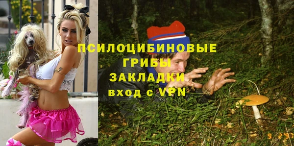 МДМА Козловка