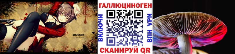 Псилоцибиновые грибы ЛСД  купить наркотик  мориарти клад  Костомукша 