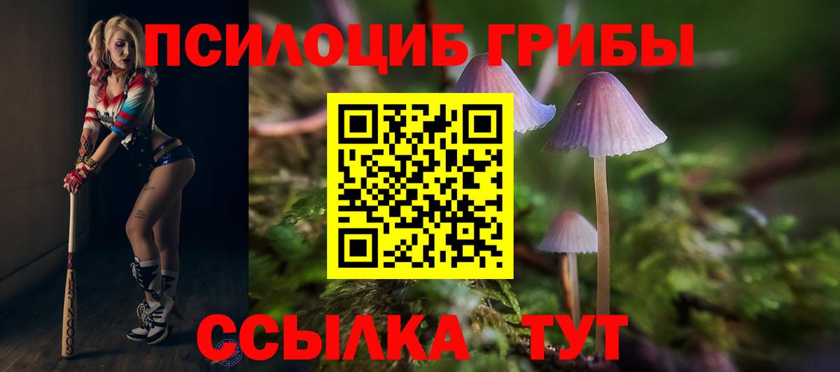 Костомукша  Галлюциногенные грибы ЛСД  Вход с VPN 