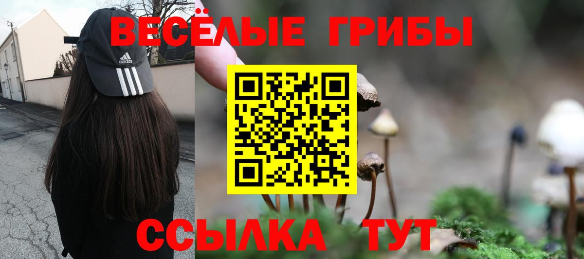 Галлюциногенные грибы ЛСД Костомукша